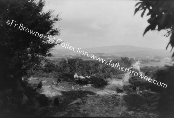 CARNDONAGH FROM NORTH WEST - WOOD TOP